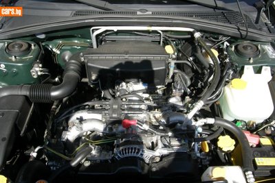 3268455o.jpg
