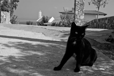 DSC04879.jpg