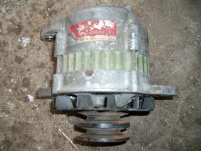 ALIM5433.JPG