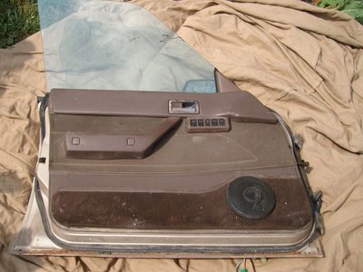 ALIM5318.JPG
