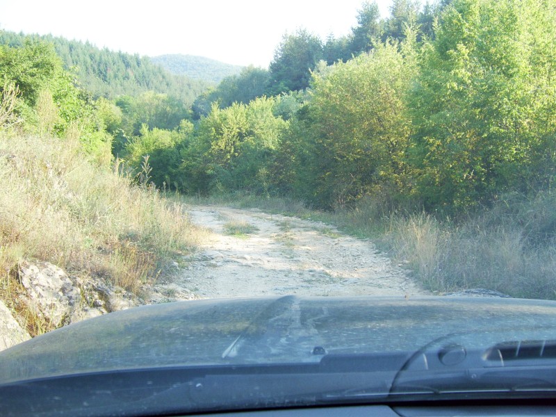 r1.jpg