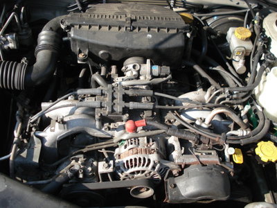 DSC00074.JPG