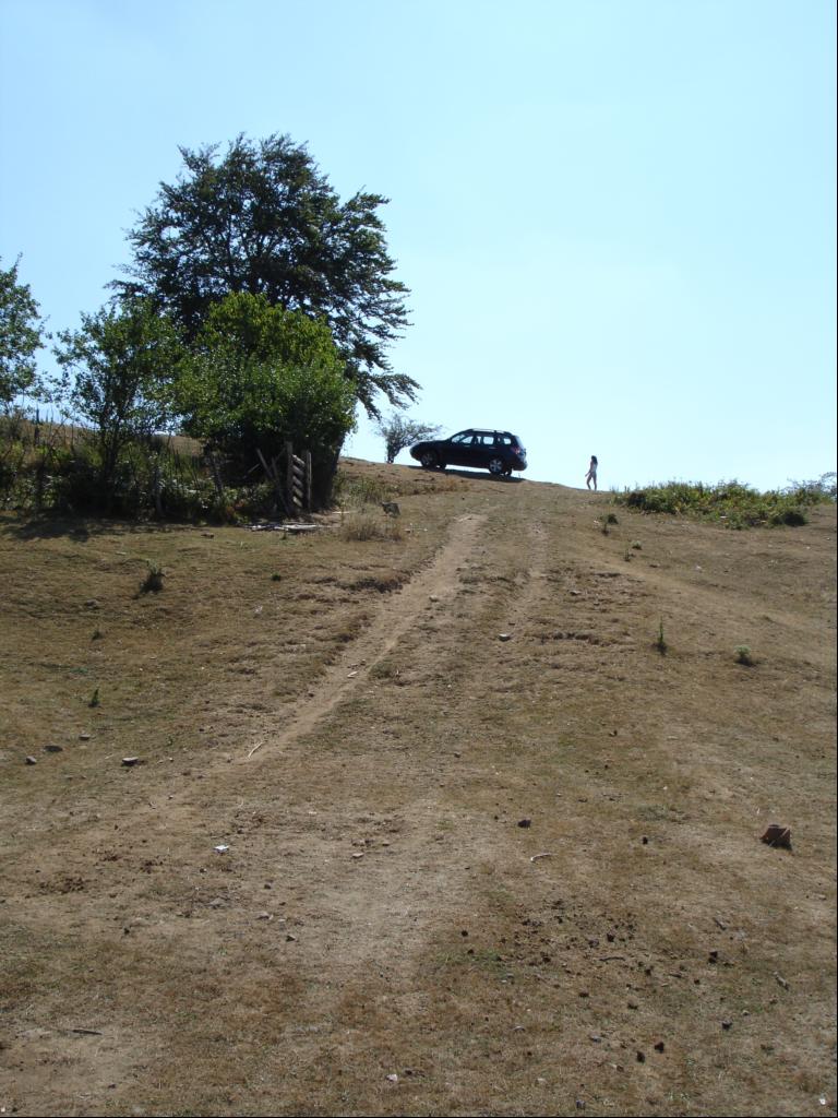 DSC06537.JPG