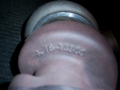 20g.jpg