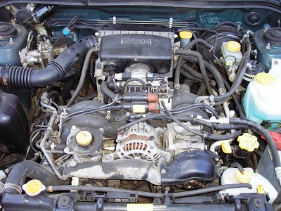 PB283118.JPG
