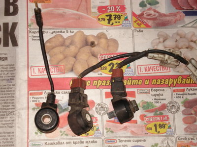DSC00232.JPG
