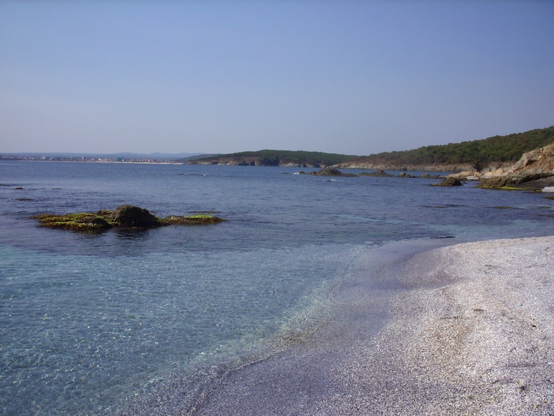 IMG_4770.JPG