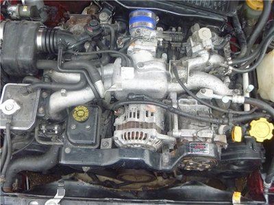 ef32adb2e2a8.jpg