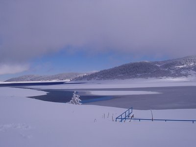 P1010347.JPG