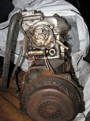 IMG_6361res.jpg