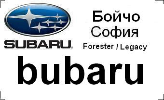 subaru_badg_bubaru_with_car&city.JPG