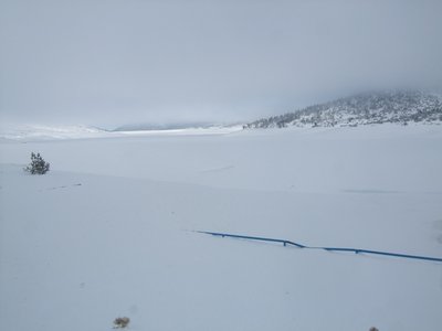 DSCF8826.JPG