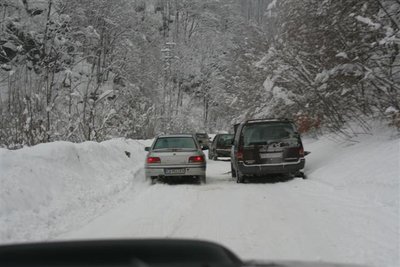 IMG_5011 (Small).JPG