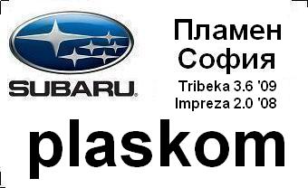 subaru_badg_plaskom_with_car&city.JPG