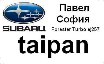 subaru_badg_taipan_with_car&city.JPG