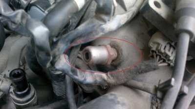 2012-03-23-015_1.jpg