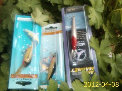 PIC120408001.jpg