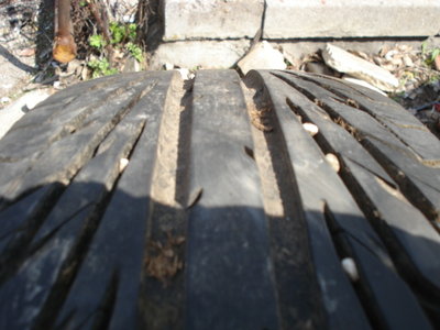 DSC00329.JPG