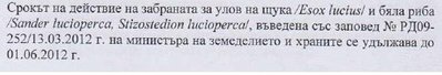 01.JPG