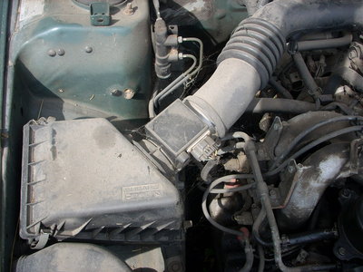 DSCN4316.JPG