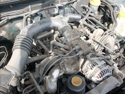DSCN4317.JPG