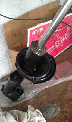 IMAG0164.jpg