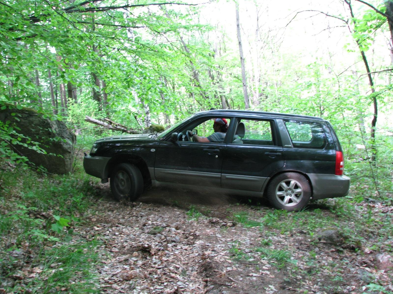 subaru.jpg