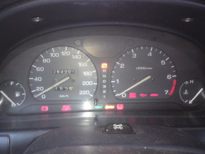 DSC02010.jpg
