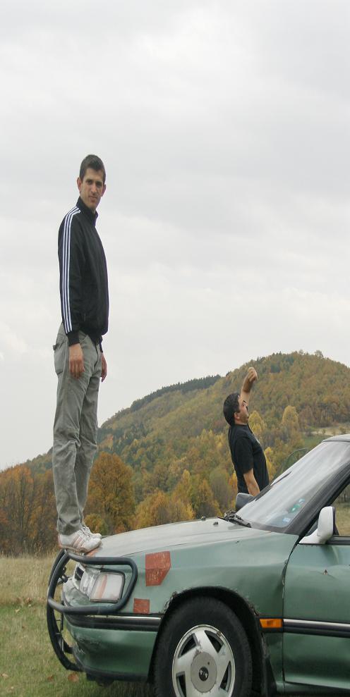 3038small.JPG