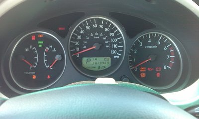 IMAG0255.jpg