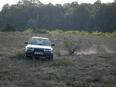 DSCF3017 (Small).JPG