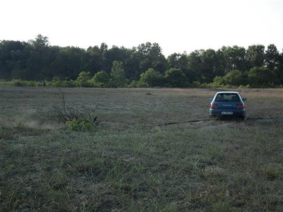 DSCF3018 (Small).JPG