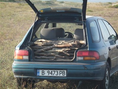 DSCF3022 (Small).JPG