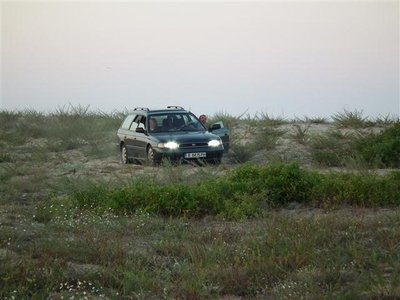 DSCF3042 (Small).JPG