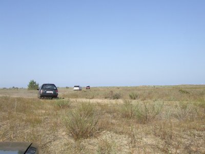 DSCF2975.JPG