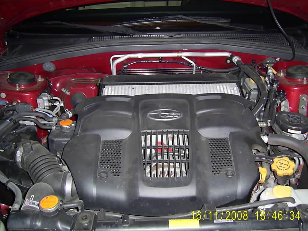 PIC_0009.JPG