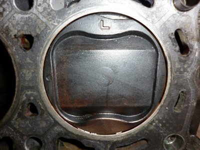 P1000651.JPG