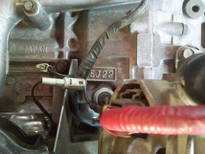 kdk_4580.jpg