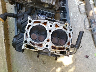 DSC_4742.JPG