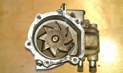 IMAG1599.jpg
