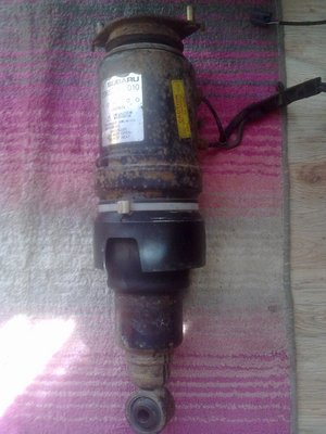 31082012551 (Medium).jpg