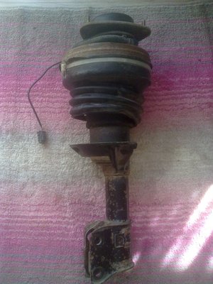 31082012552 (Medium).jpg