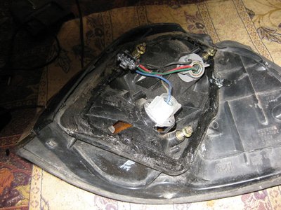 Picture 893.jpg
