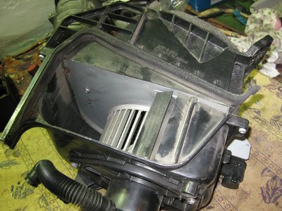 Picture 895.jpg