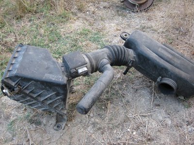 Picture 900.jpg