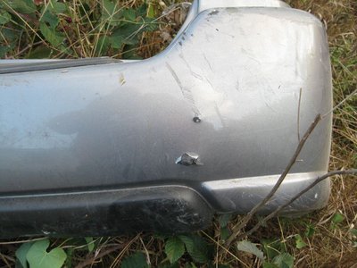 Picture 906.jpg