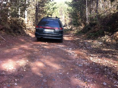 Photo 2012-11-10 04.15.54 сл. об..jpg
