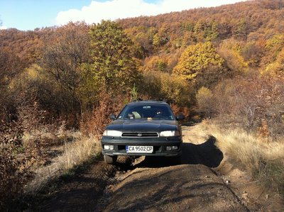 Photo 2012-11-10 04.15.13 сл. об..jpg