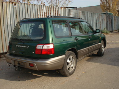 DSC00527.JPG