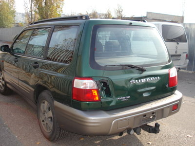 DSC00529.JPG